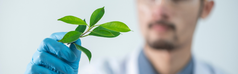 Homme tient une plante dans les mains
